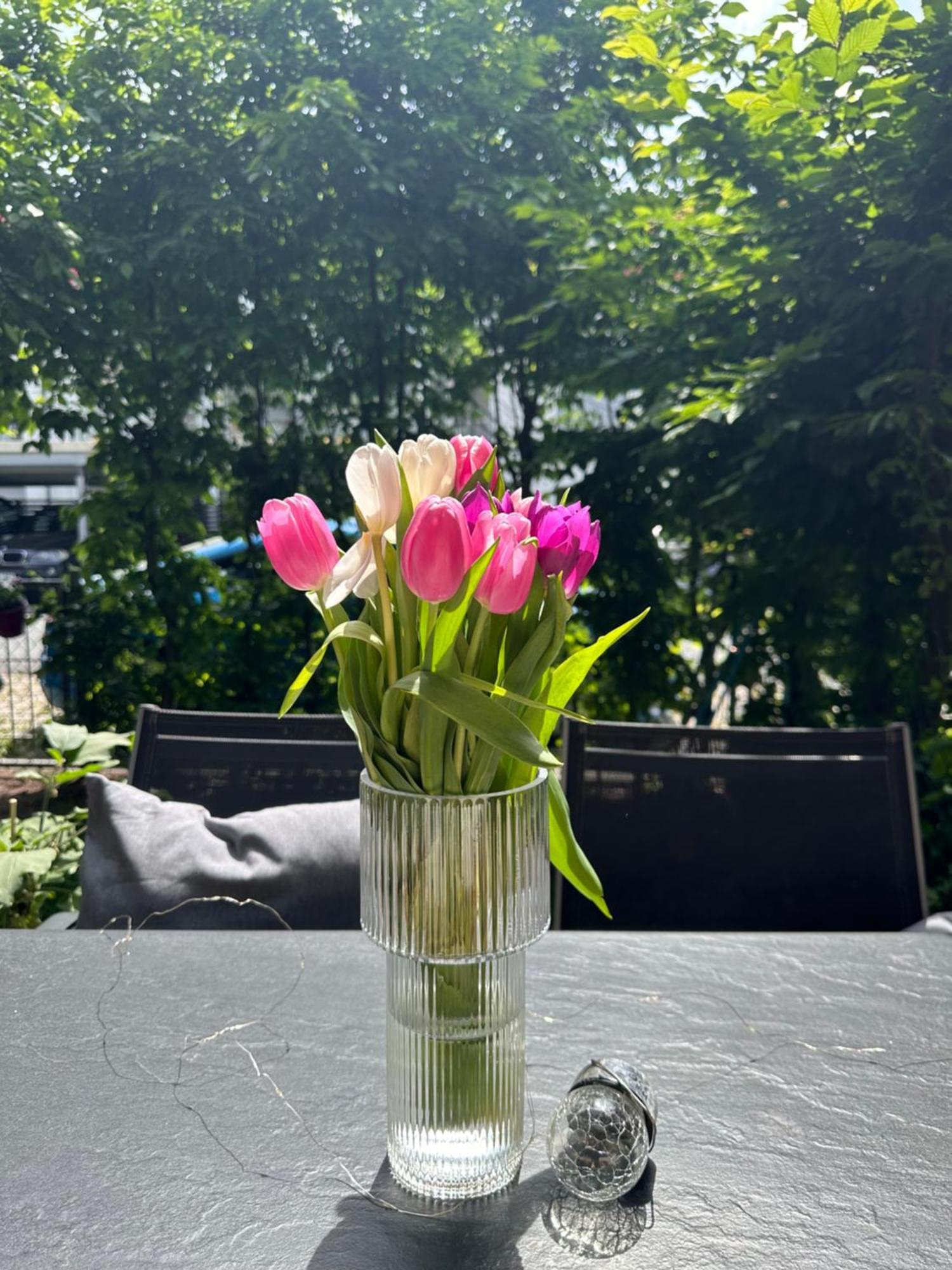 Luxus I Wohnkueche I Garten I Terrasse I Parkplatz Apartment